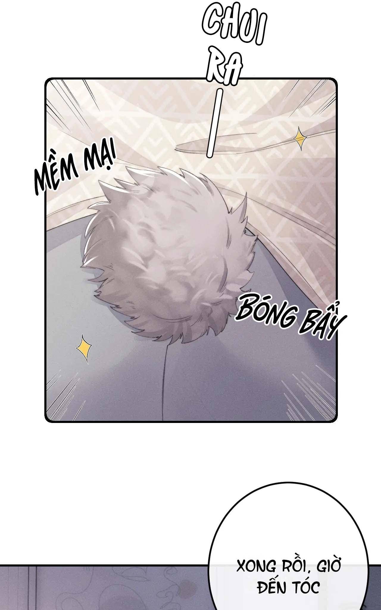 Chấp Sự Thỏ Tai Cụp: Chapter 41