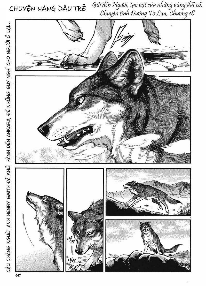 Cô Dâu Thảo Nguyên: Chapter 18