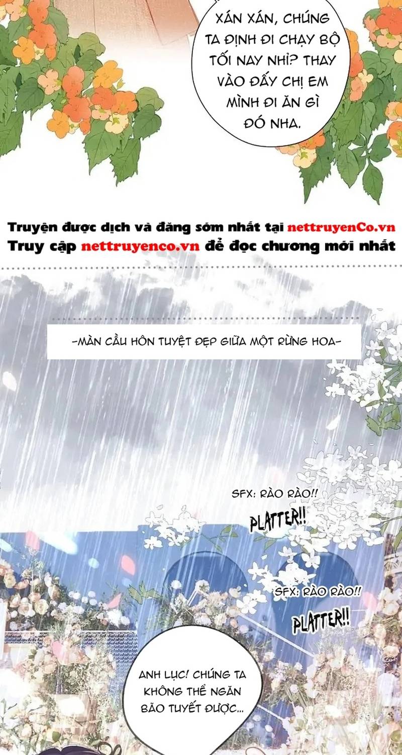 Bảo Vệ Siêu Sao Của Tôi: Chương 139