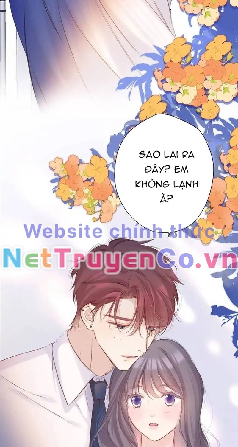 Bảo Vệ Siêu Sao Của Tôi: Chương 140