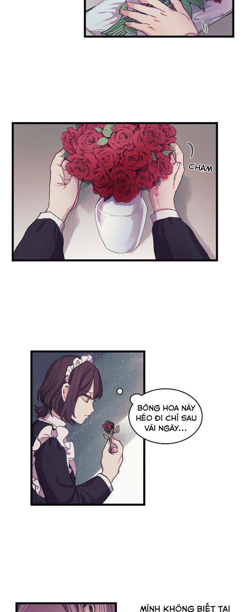 A Lady's Table: Chapter 5
