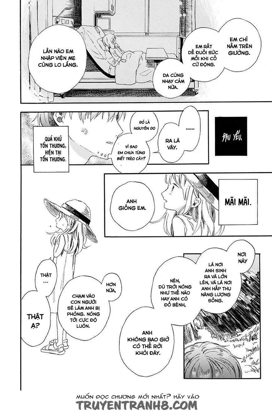 Mugiwara Boushi To Koi: Chapter 1: One shot