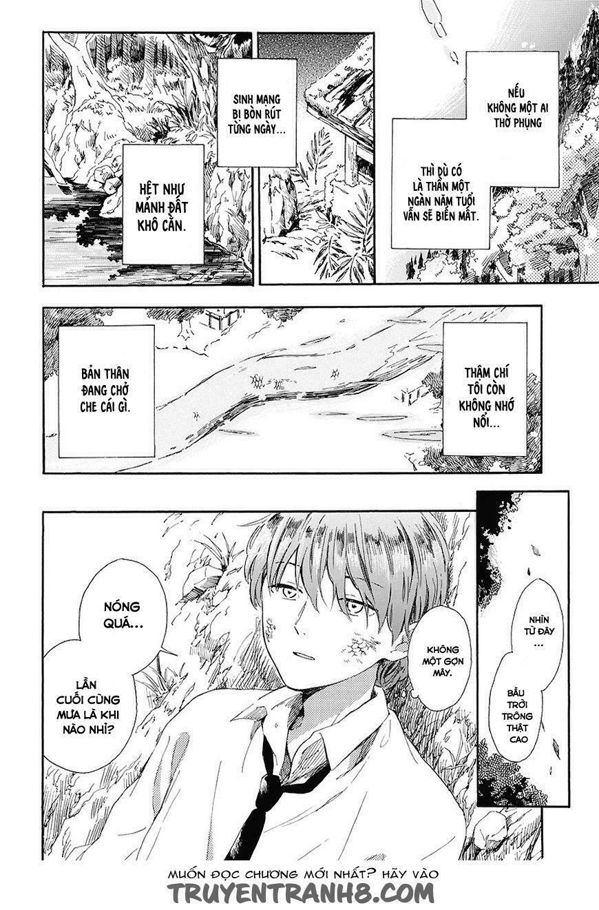 Mugiwara Boushi To Koi: Chapter 1: One shot