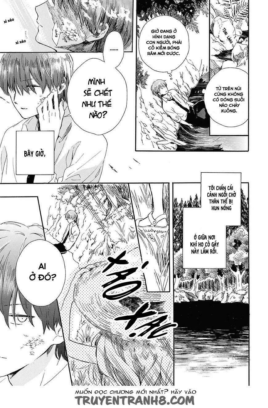 Mugiwara Boushi To Koi: Chapter 1: One shot