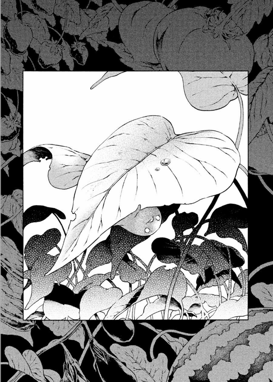 Livingstone: Chapter 16