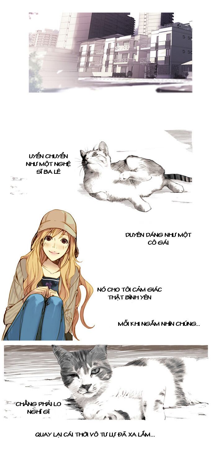 Mười Chín, Hai Mươi Mốt: Chapter 1
