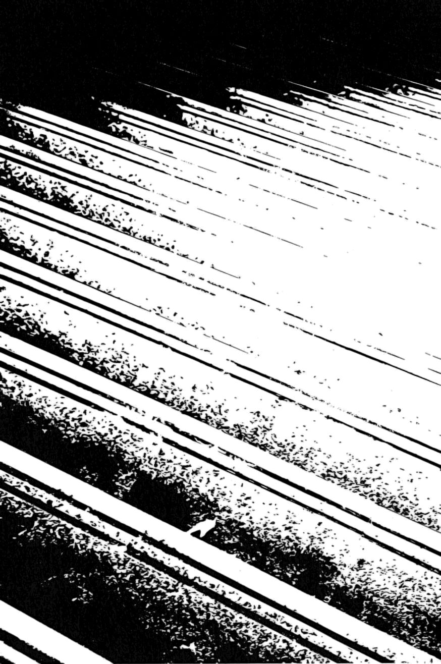 Shiki: Chapter 2