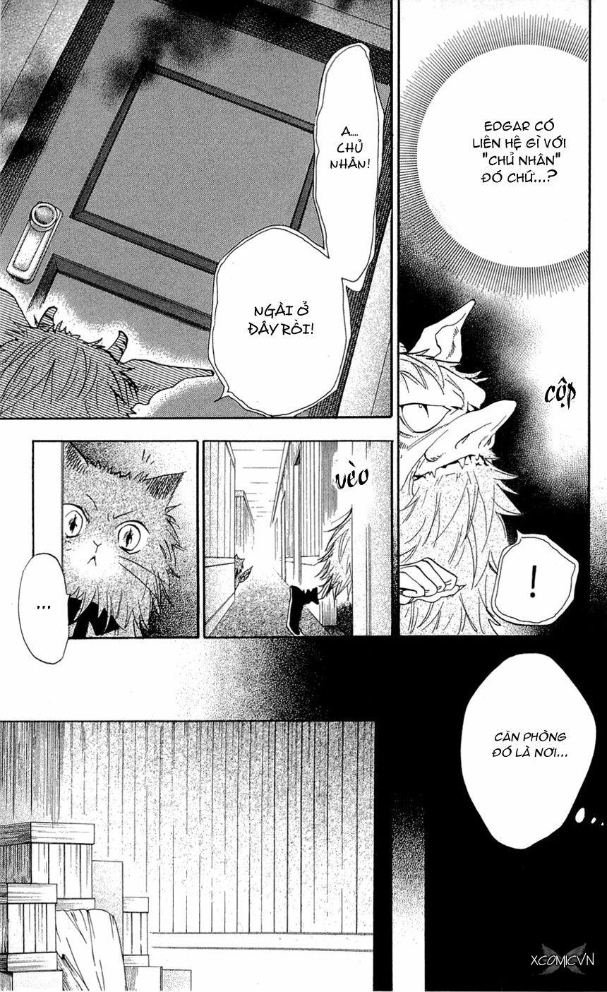 Bá Tước Và Tiên Nữ: Chapter 15