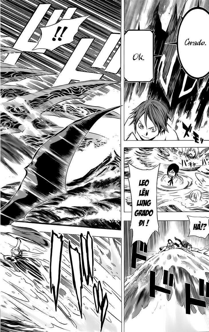 Rồng Xanh Grado: Chapter 13