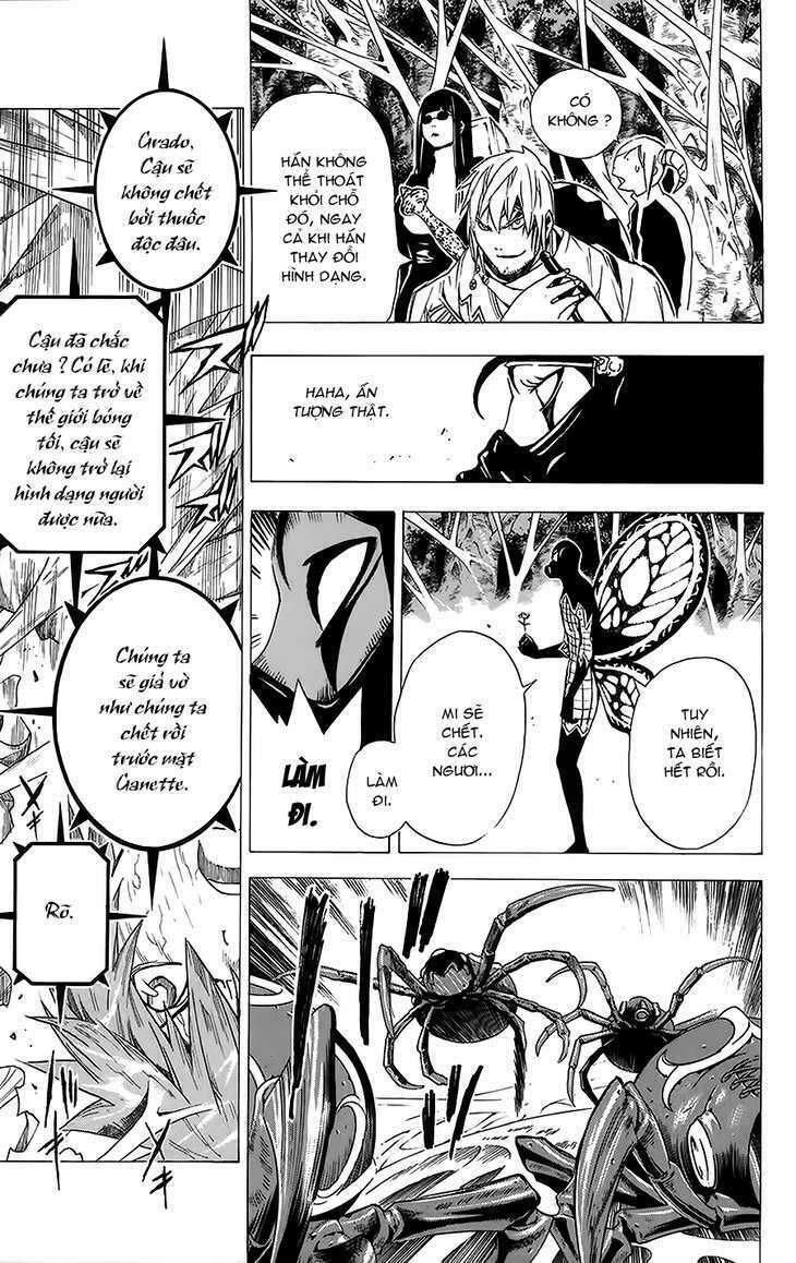 Rồng Xanh Grado: Chapter 19