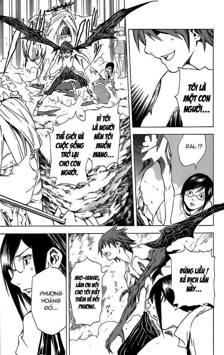 Rồng Xanh Grado: Chapter 23