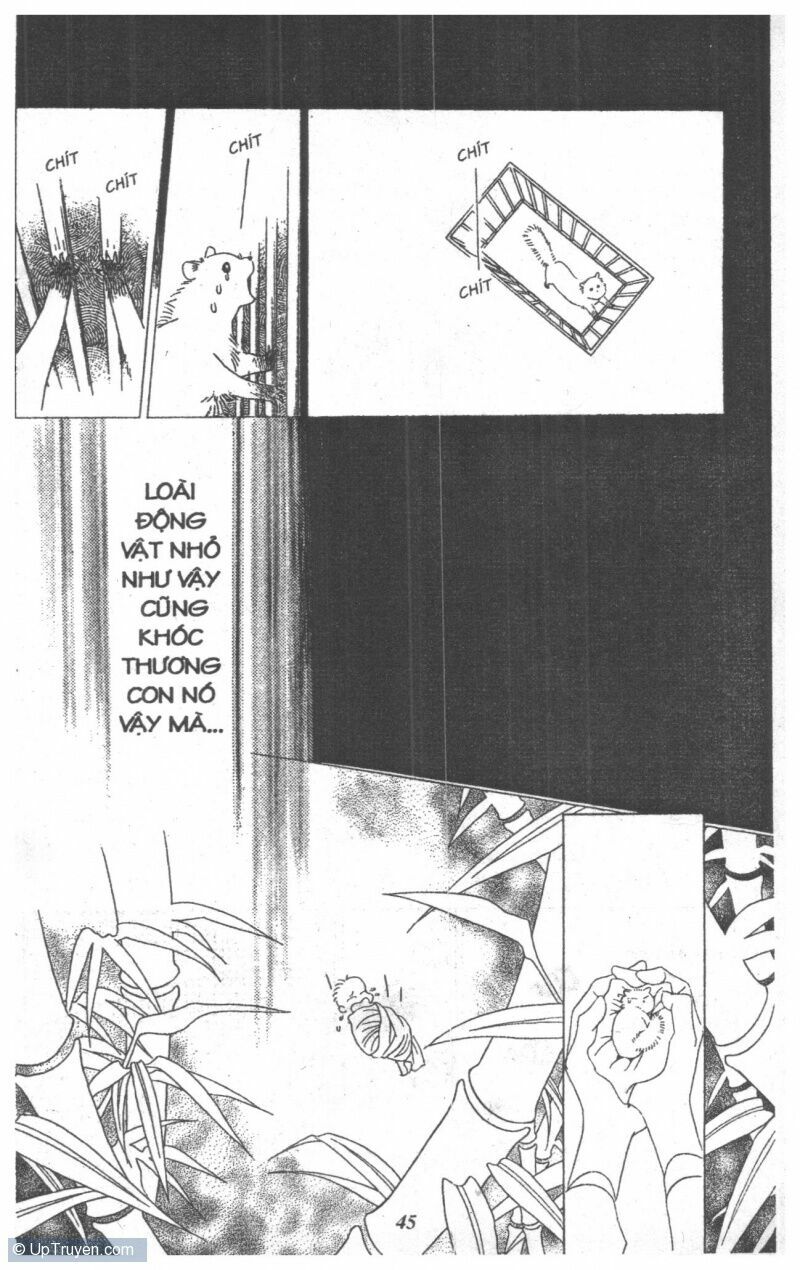 Nàng Tiên Ánh Trăng - Kaguya Hime: Chapter 10