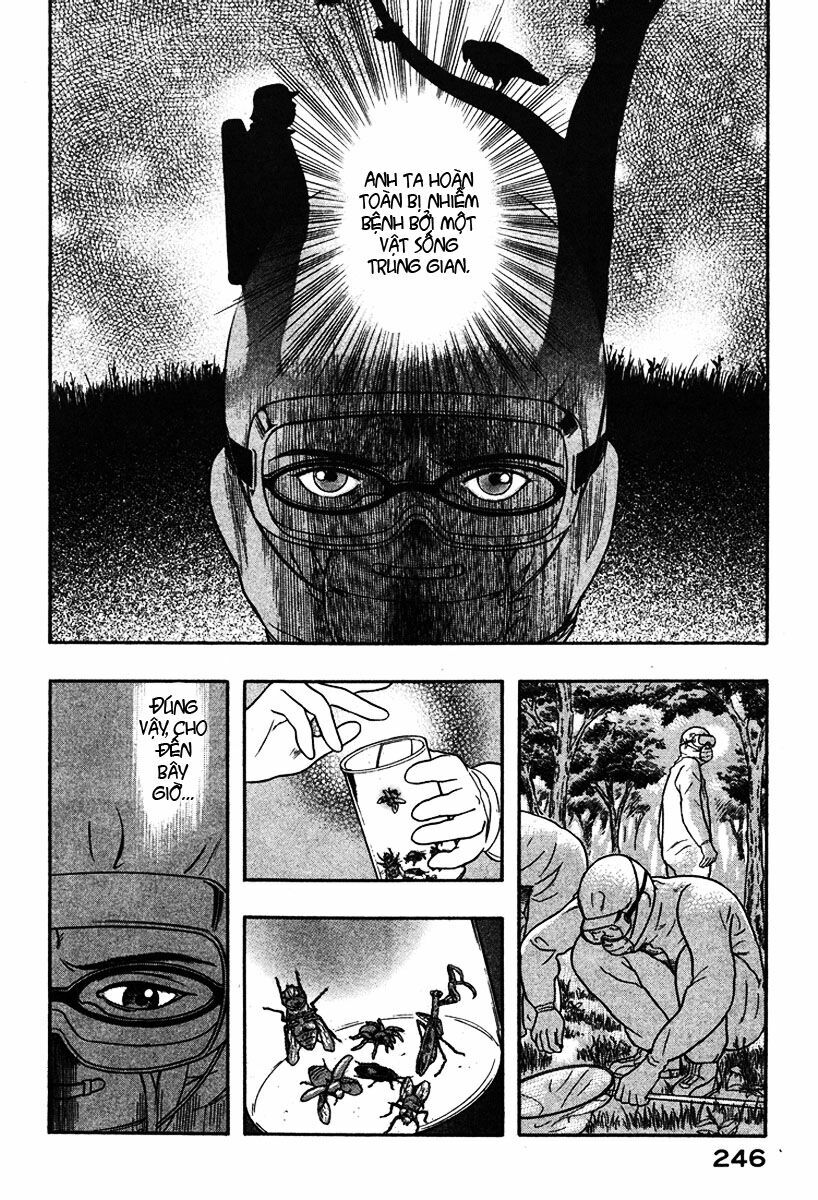 Emerging: Chapter 22
