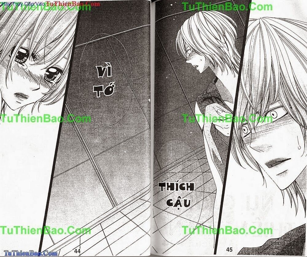 Nụ Cười Thiên Thần (Bản Đẹp): Chapter 4