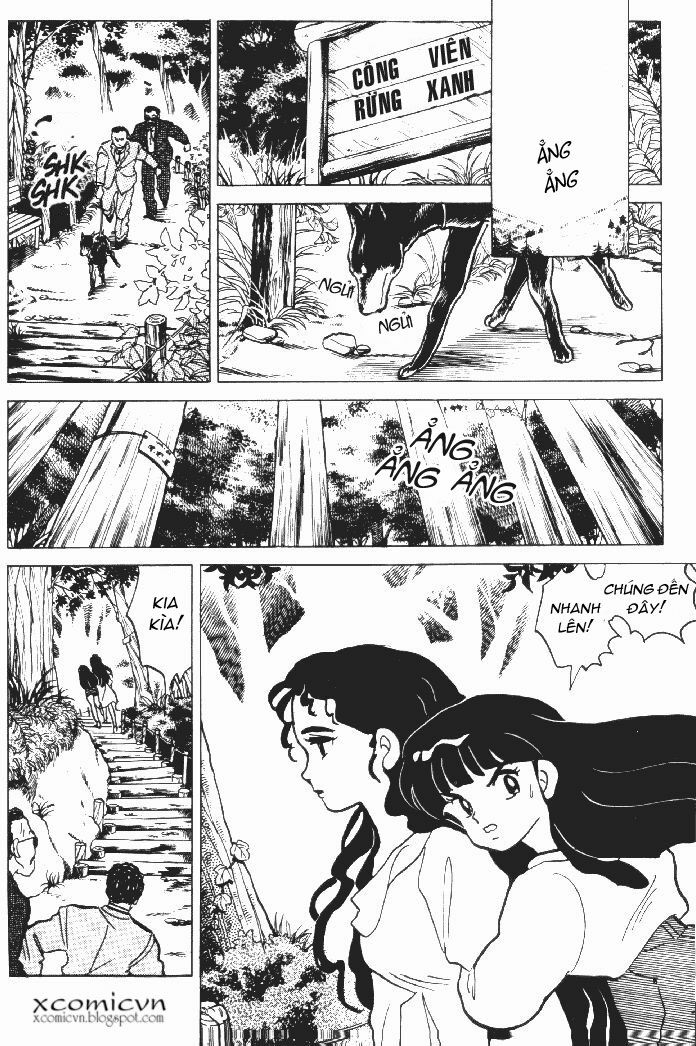 Lời Nguyền Bất Tử: Chapter 14