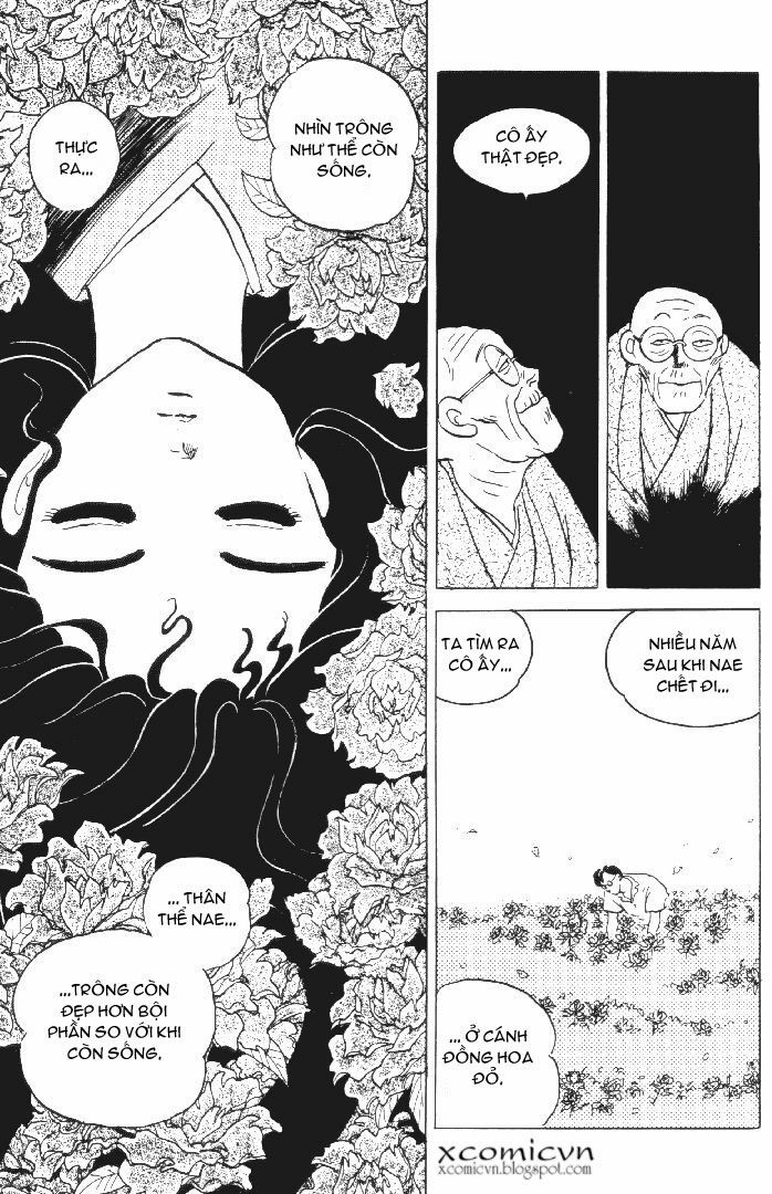 Lời Nguyền Bất Tử: Chapter 14