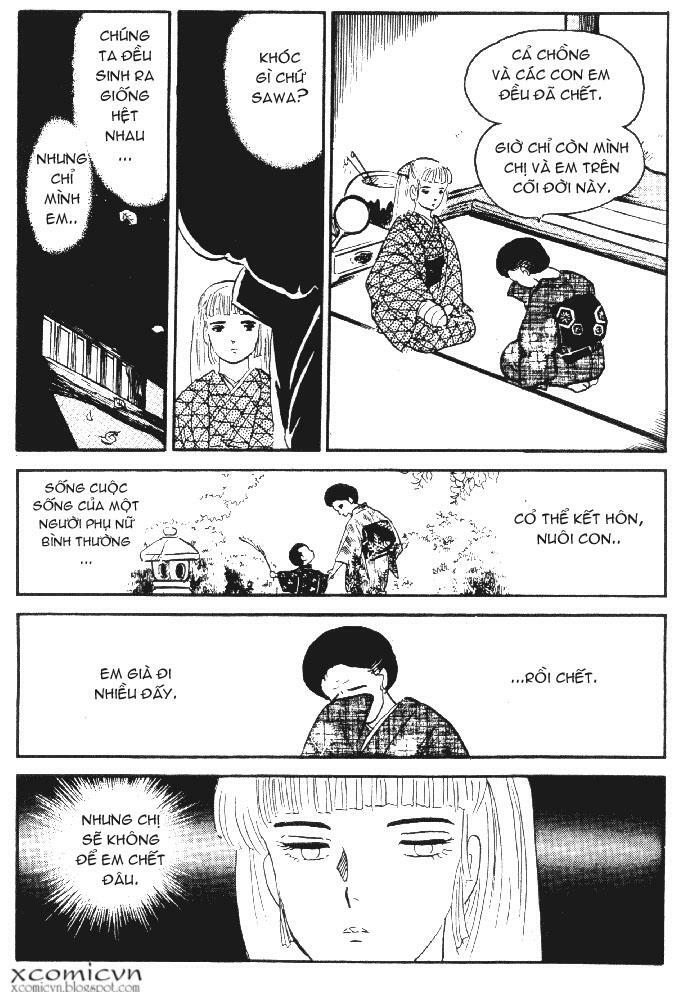 Lời Nguyền Bất Tử: Chapter 8