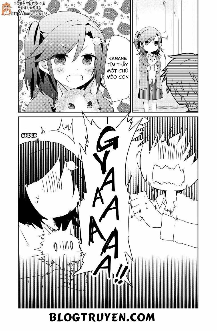 Koneko Hiroimashita: Chapter 7