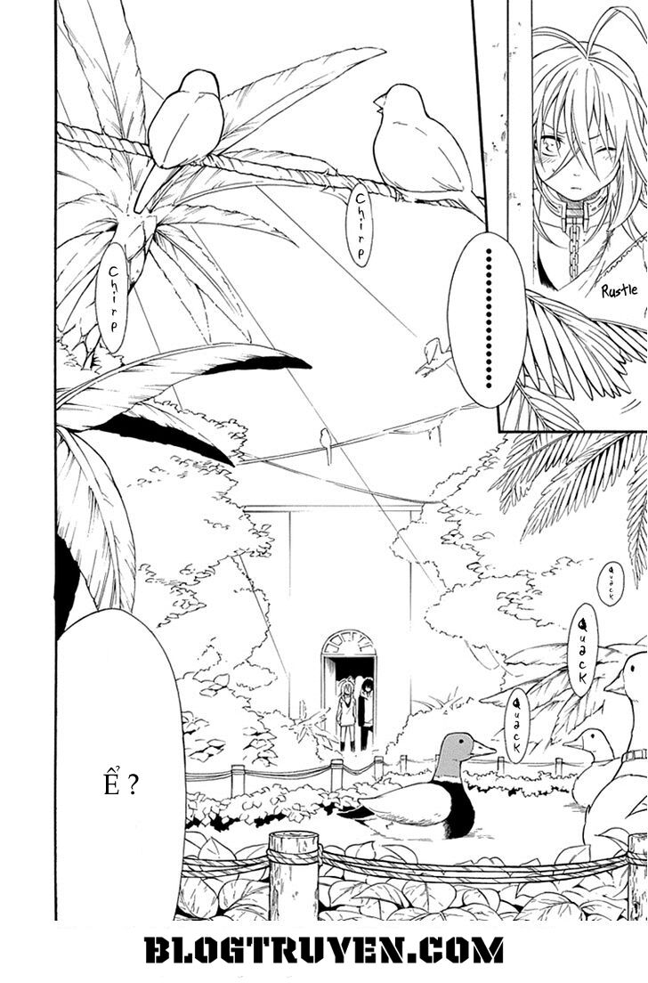 Torikago no Tsugai: Chapter 11