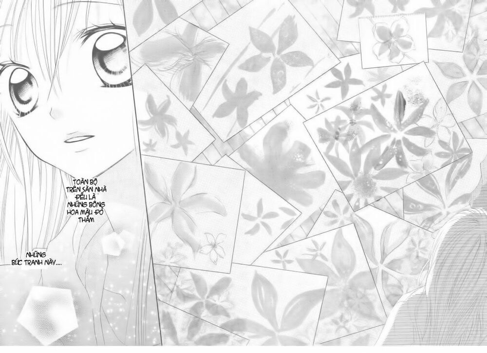 24 COLORS: Chapter 4