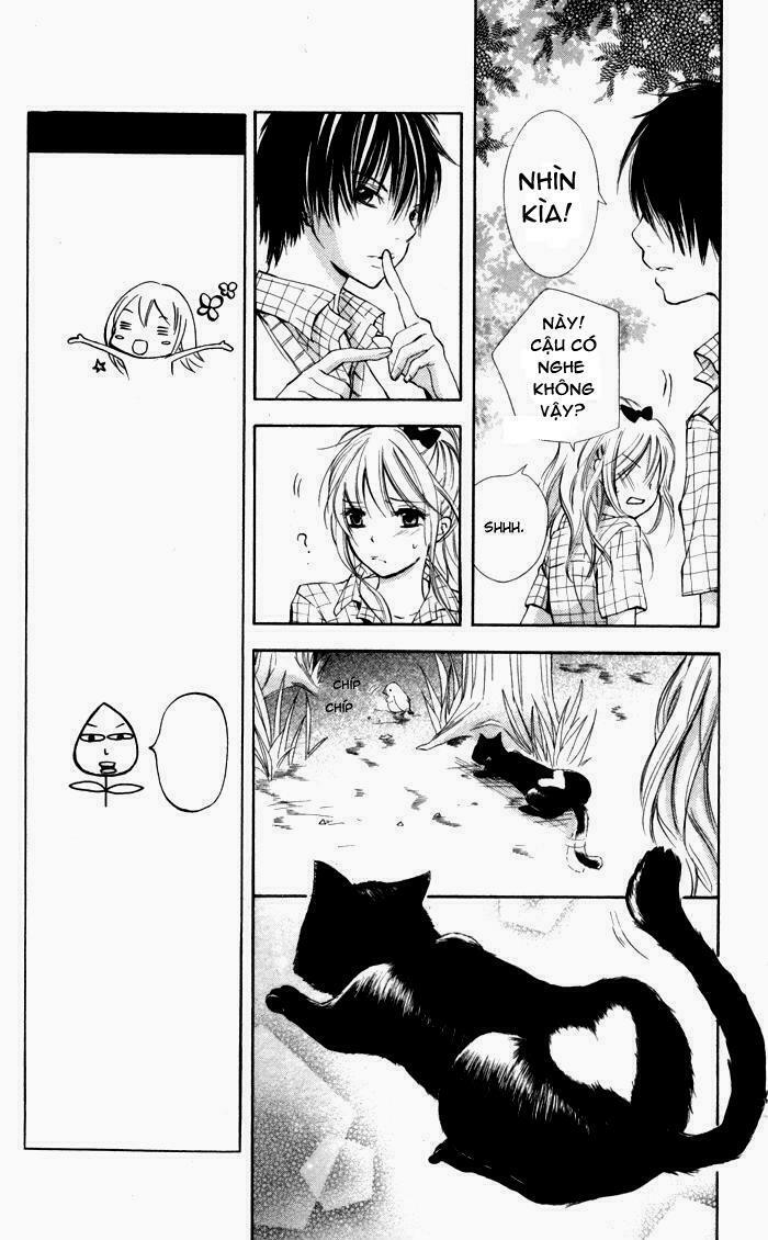 Air Koi: Chapter 1