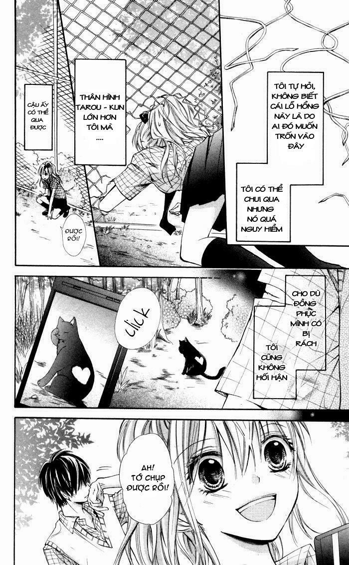 Air Koi: Chapter 1