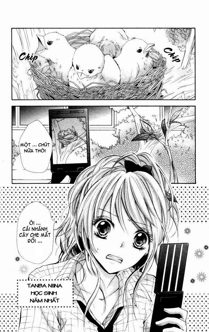 Air Koi: Chapter 1