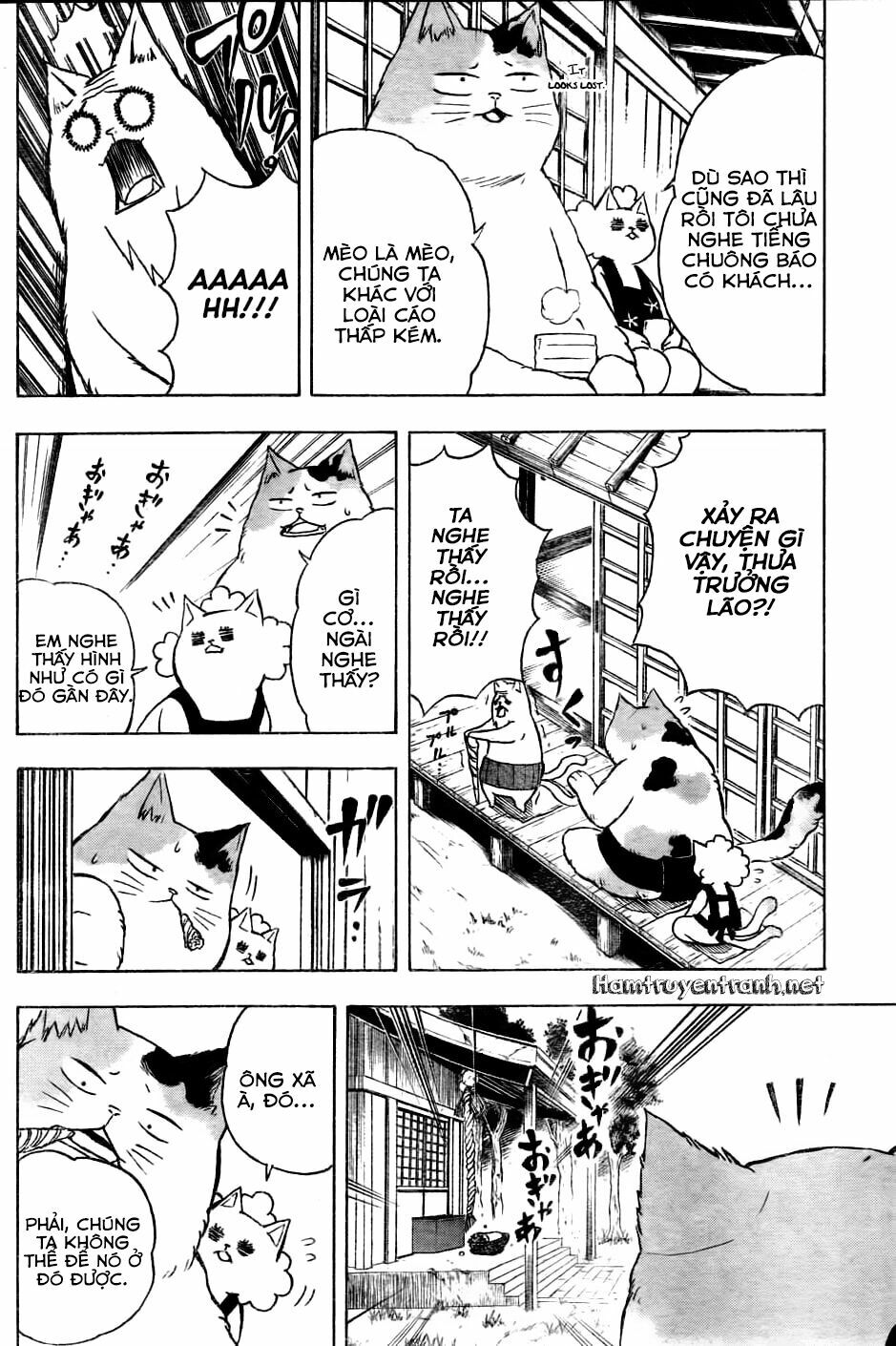 Nekowappa!: Chapter 1.1