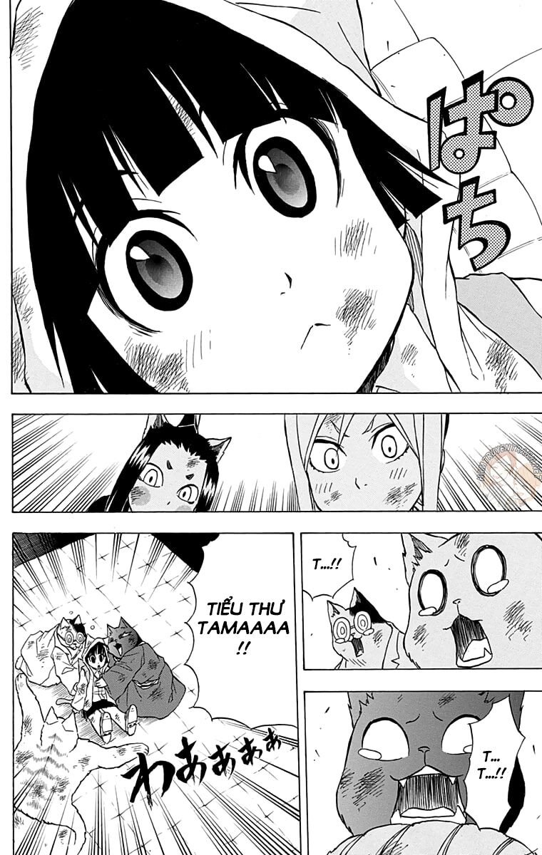 Nekowappa!: Chapter 13: (End)