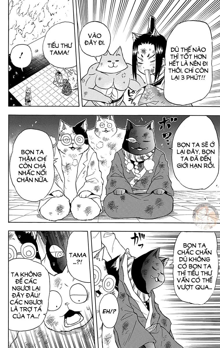 Nekowappa!: Chapter 13: (End)