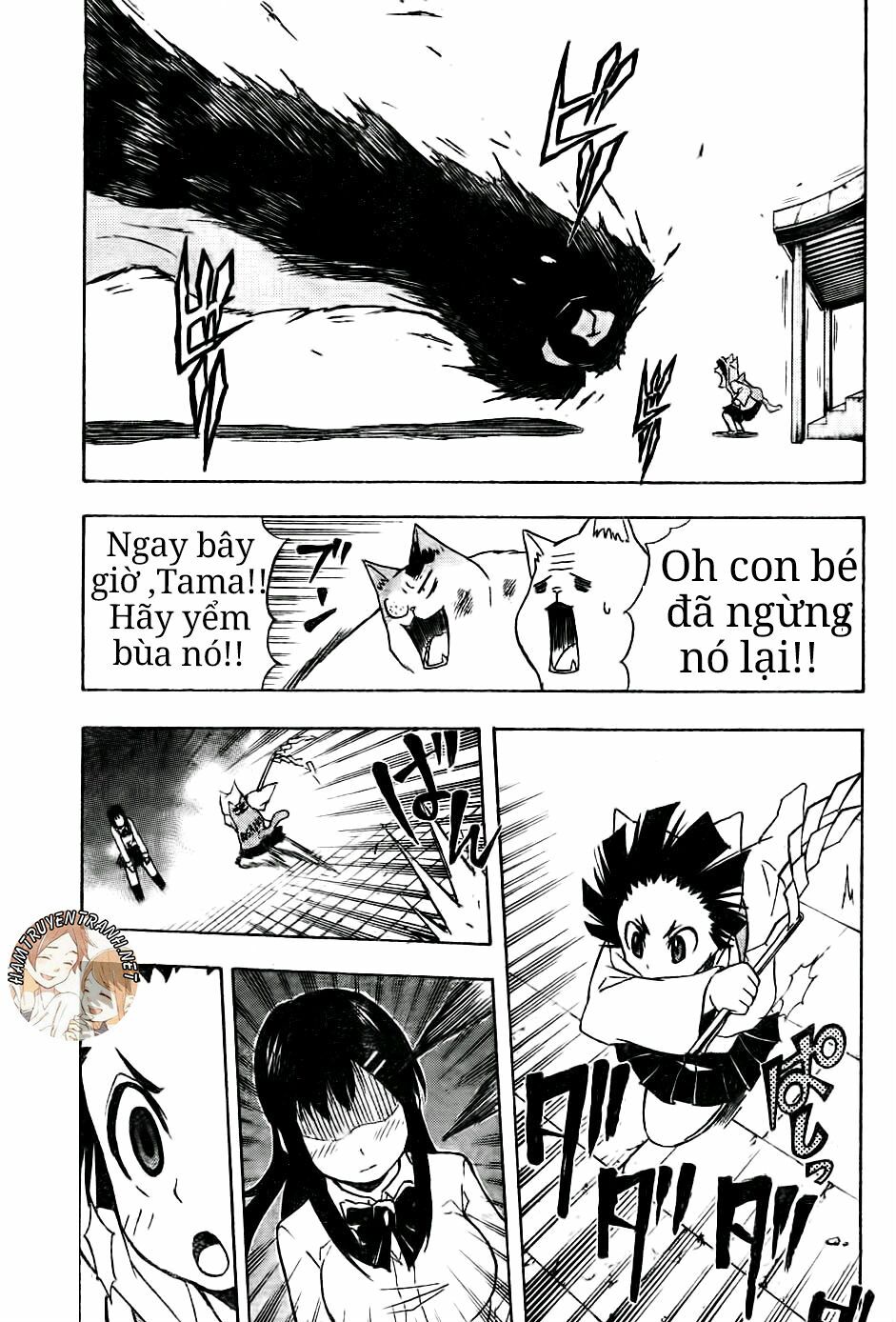 Nekowappa!: Chapter 6