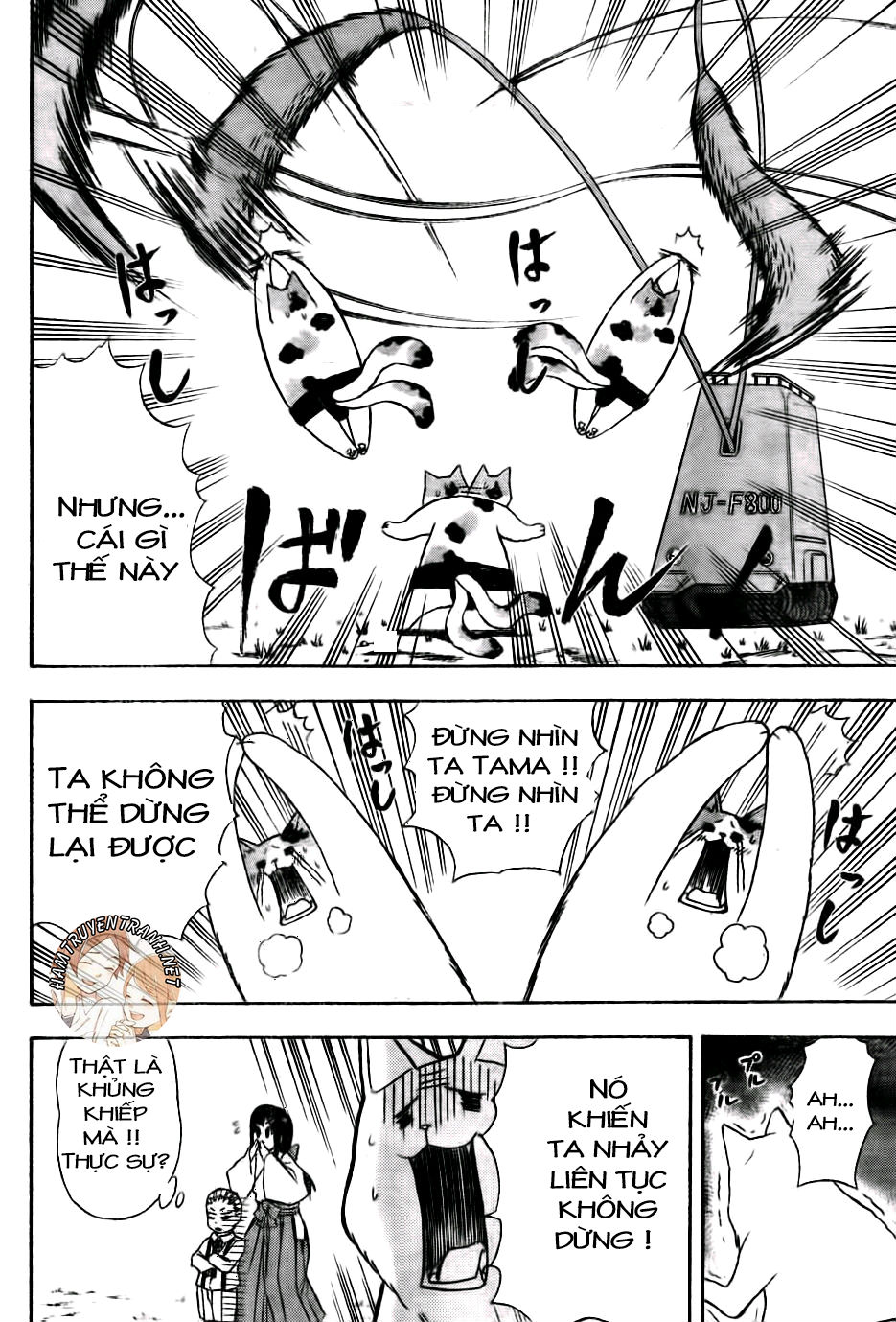 Nekowappa!: Chapter 7