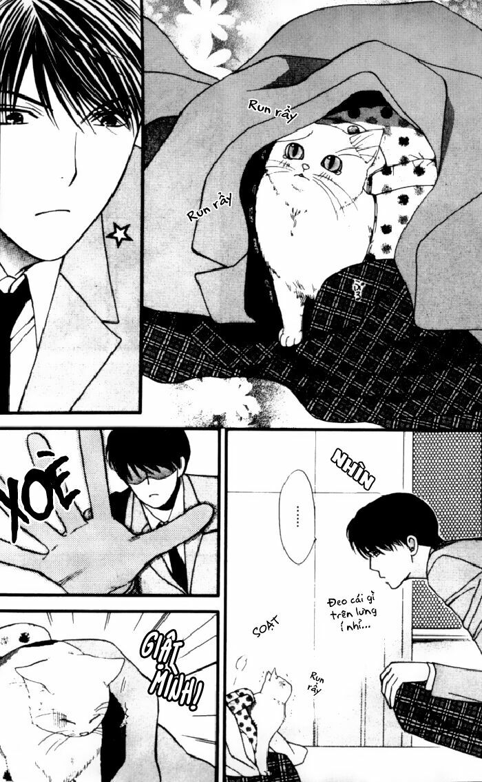 Neko Neko Honey: Chapter 1