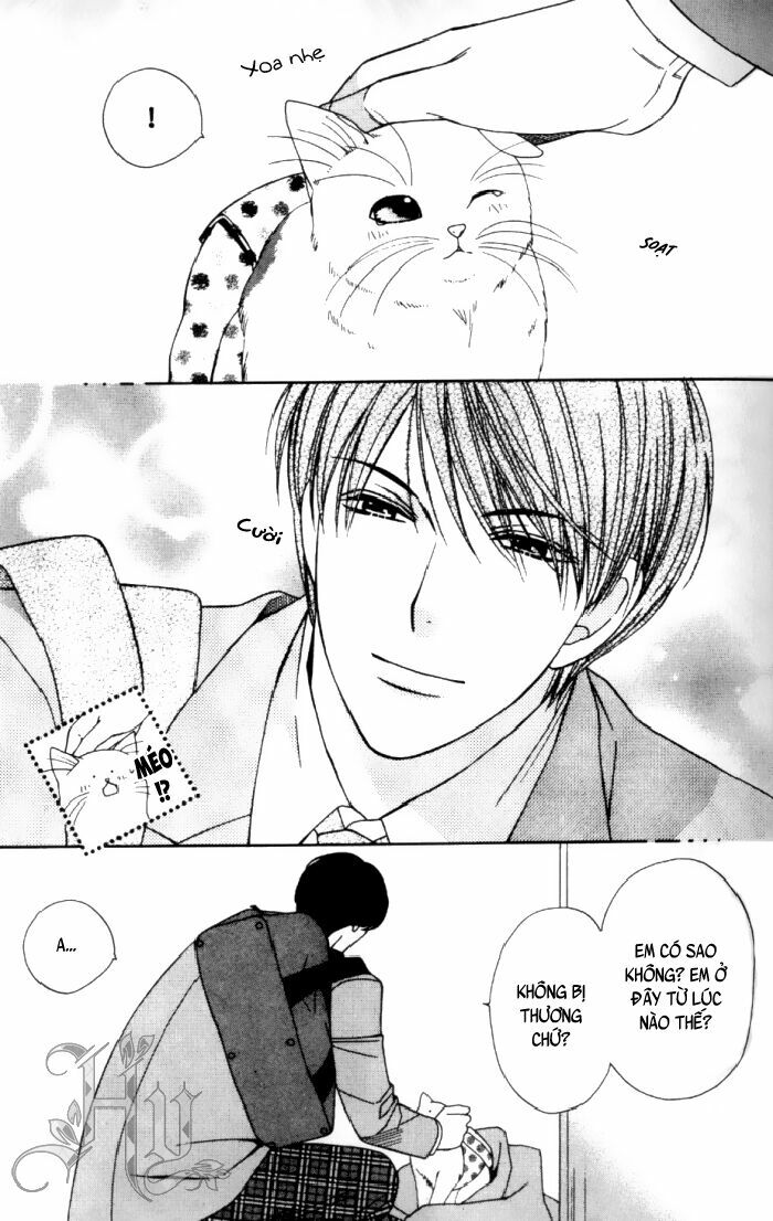 Neko Neko Honey: Chapter 1