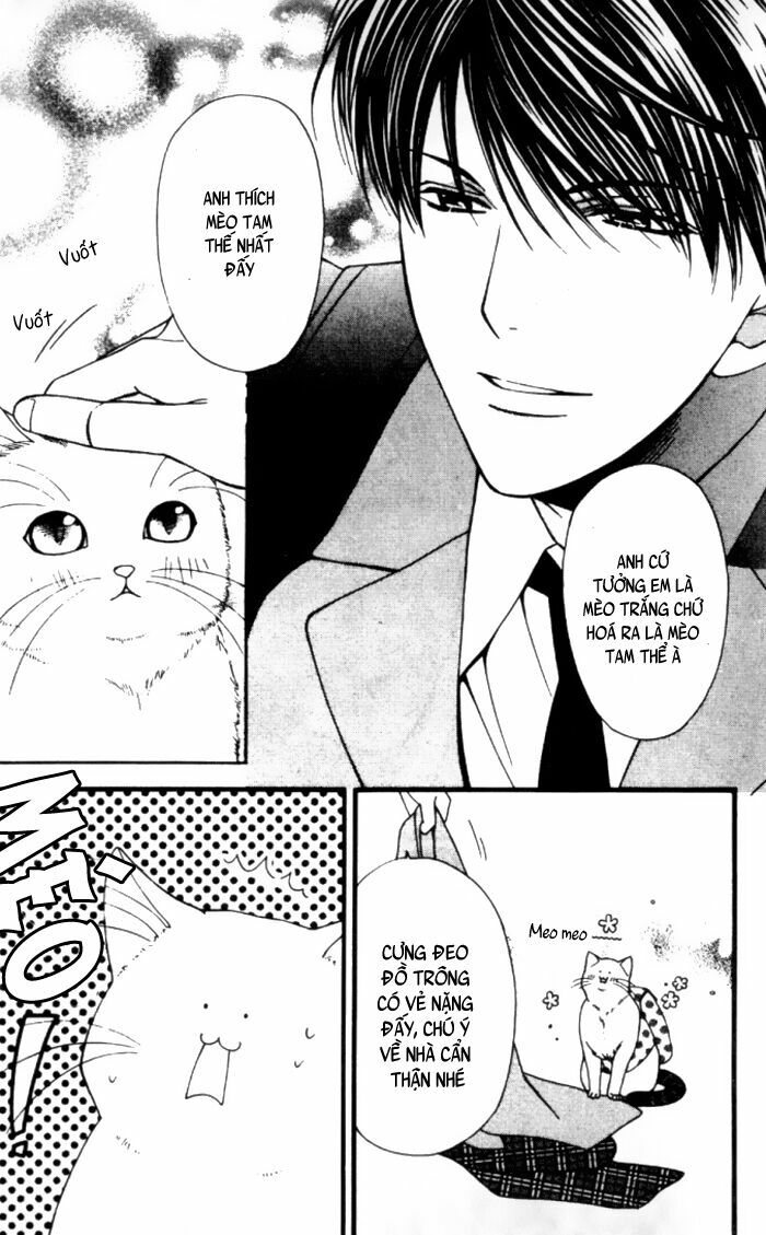 Neko Neko Honey: Chapter 1