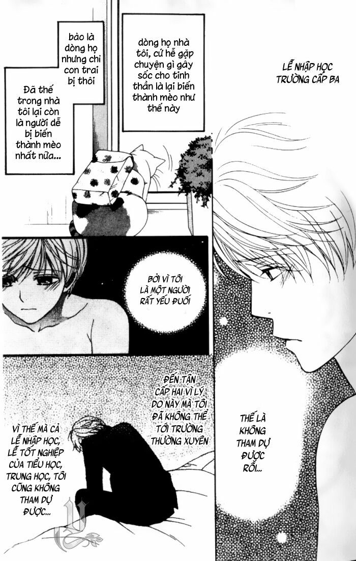 Neko Neko Honey: Chapter 1