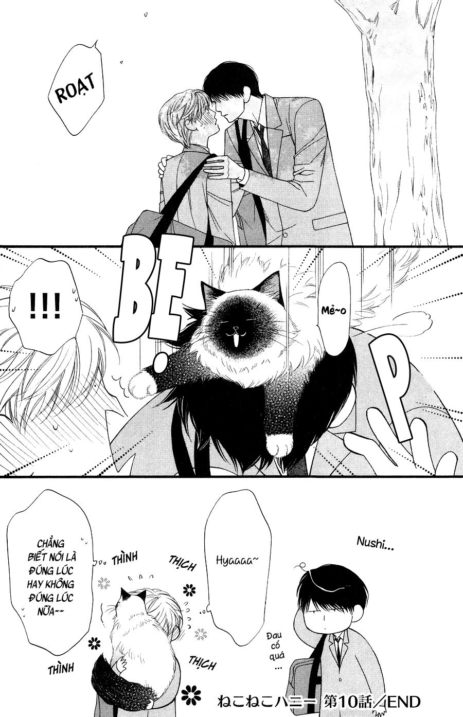 Neko Neko Honey: Chapter 10