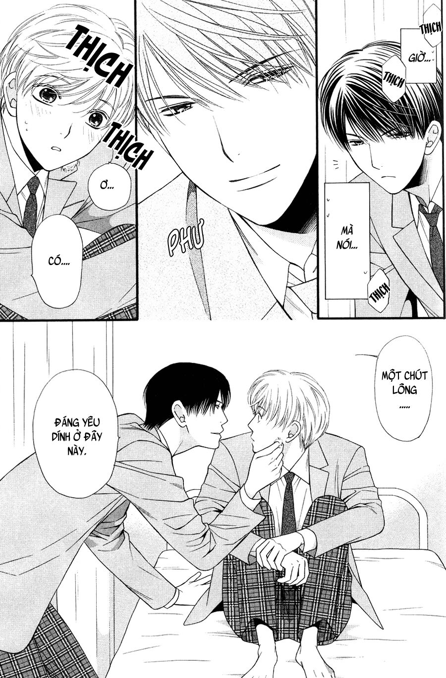 Neko Neko Honey: Chapter 10