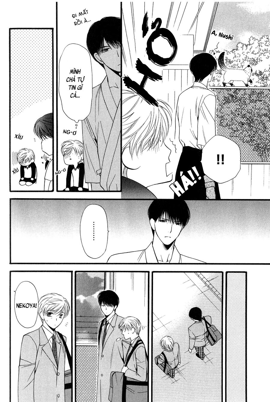 Neko Neko Honey: Chapter 11