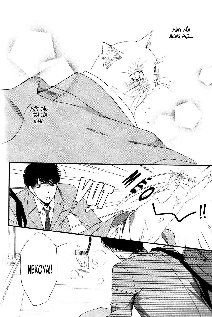 Neko Neko Honey: Chapter 11