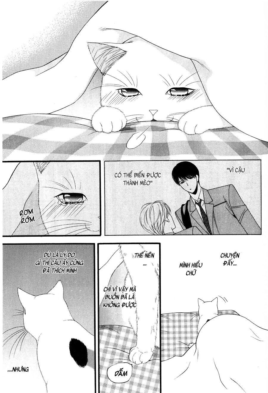 Neko Neko Honey: Chapter 11