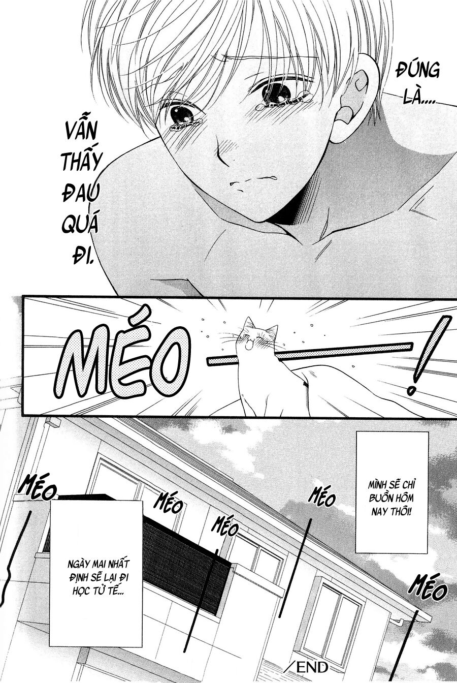 Neko Neko Honey: Chapter 11