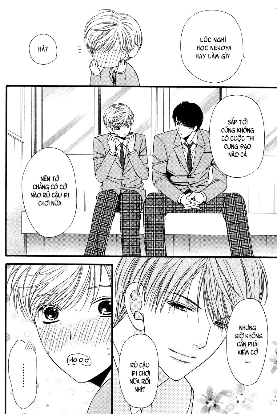 Neko Neko Honey: Chapter 11