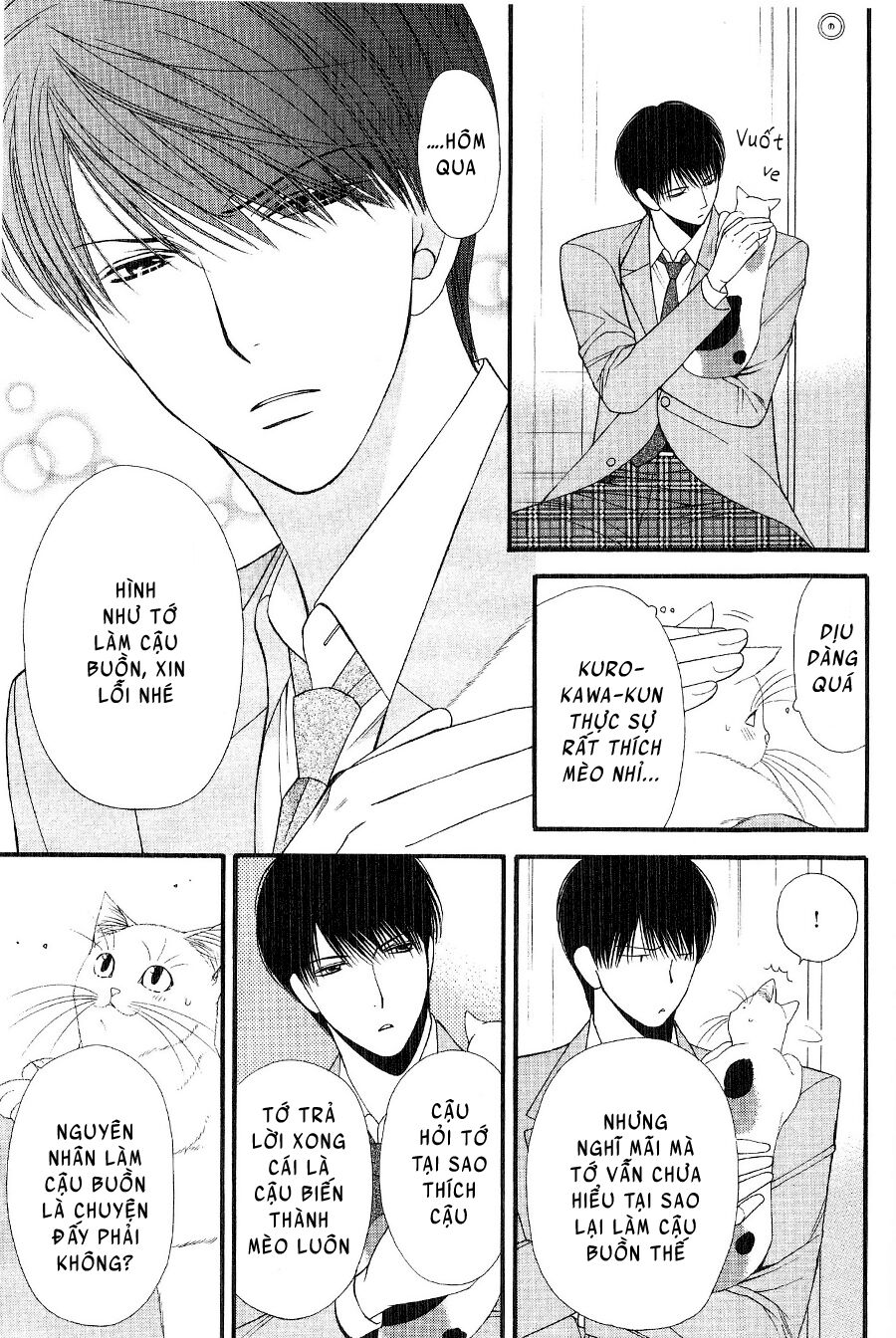 Neko Neko Honey: Chapter 12