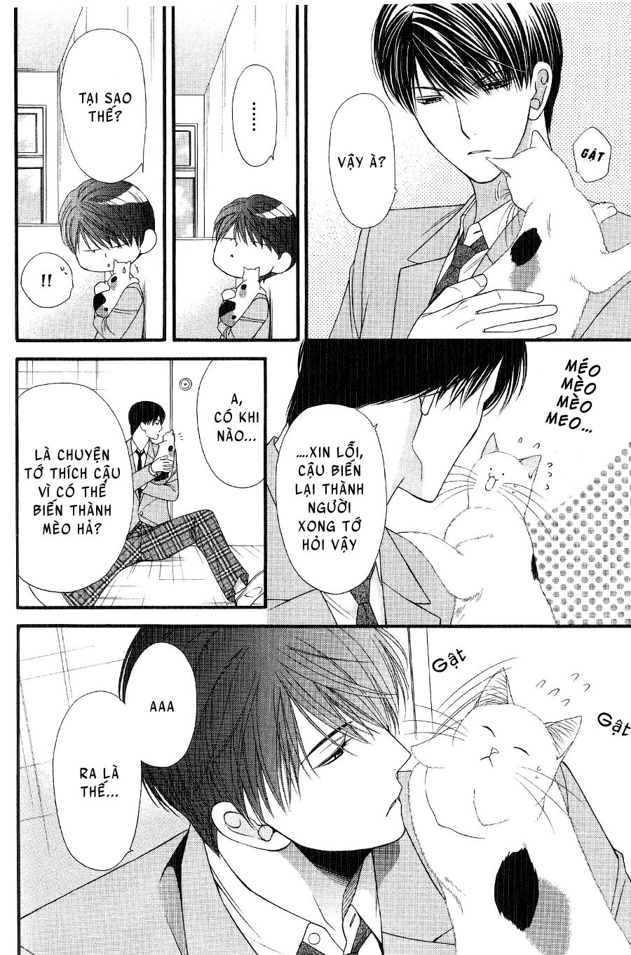 Neko Neko Honey: Chapter 12