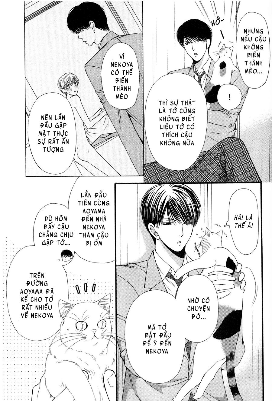 Neko Neko Honey: Chapter 12