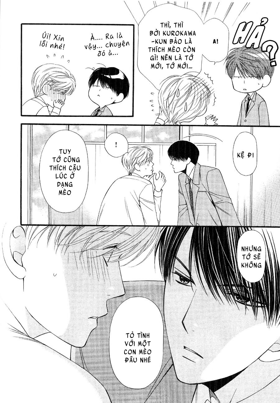 Neko Neko Honey: Chapter 12