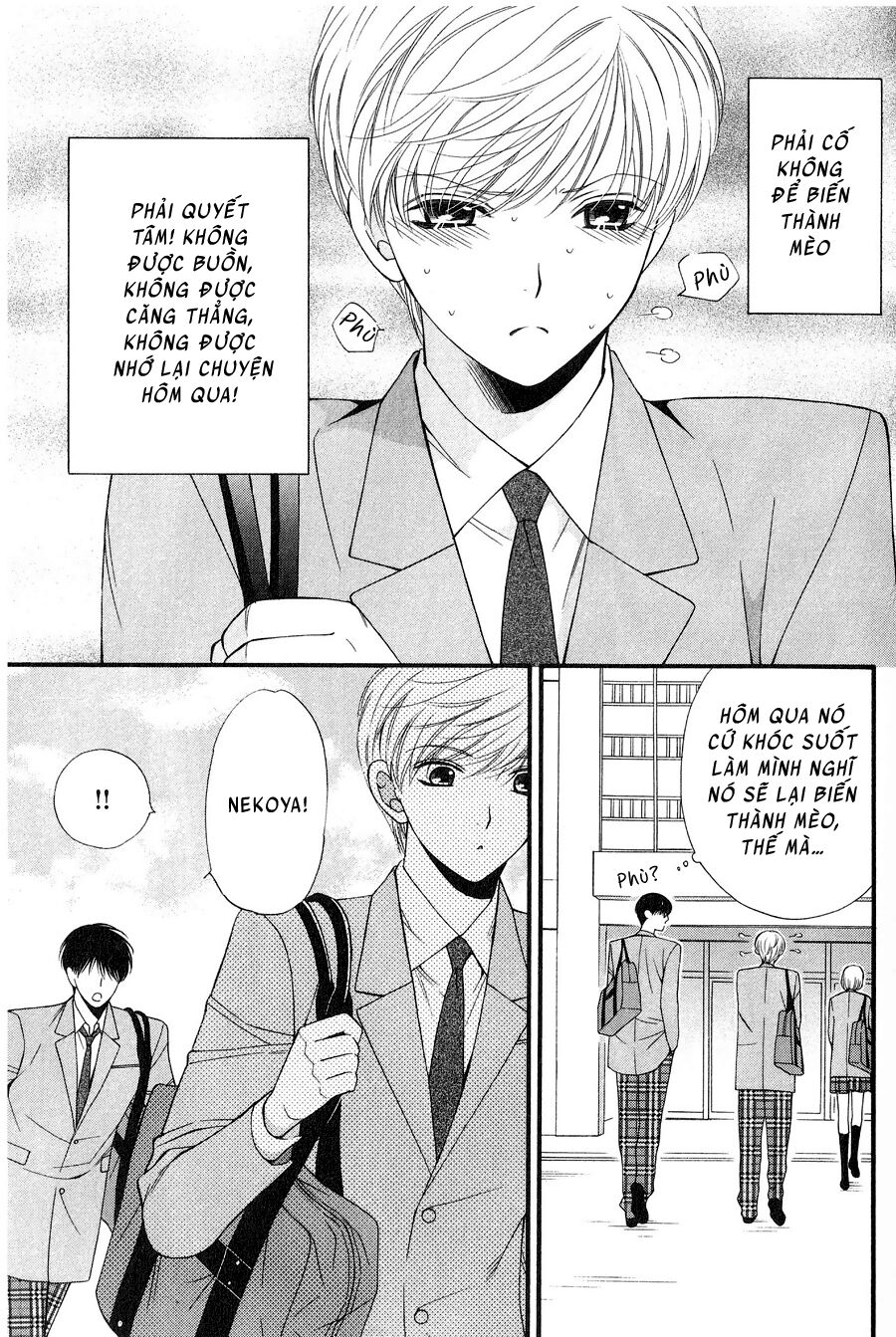 Neko Neko Honey: Chapter 12
