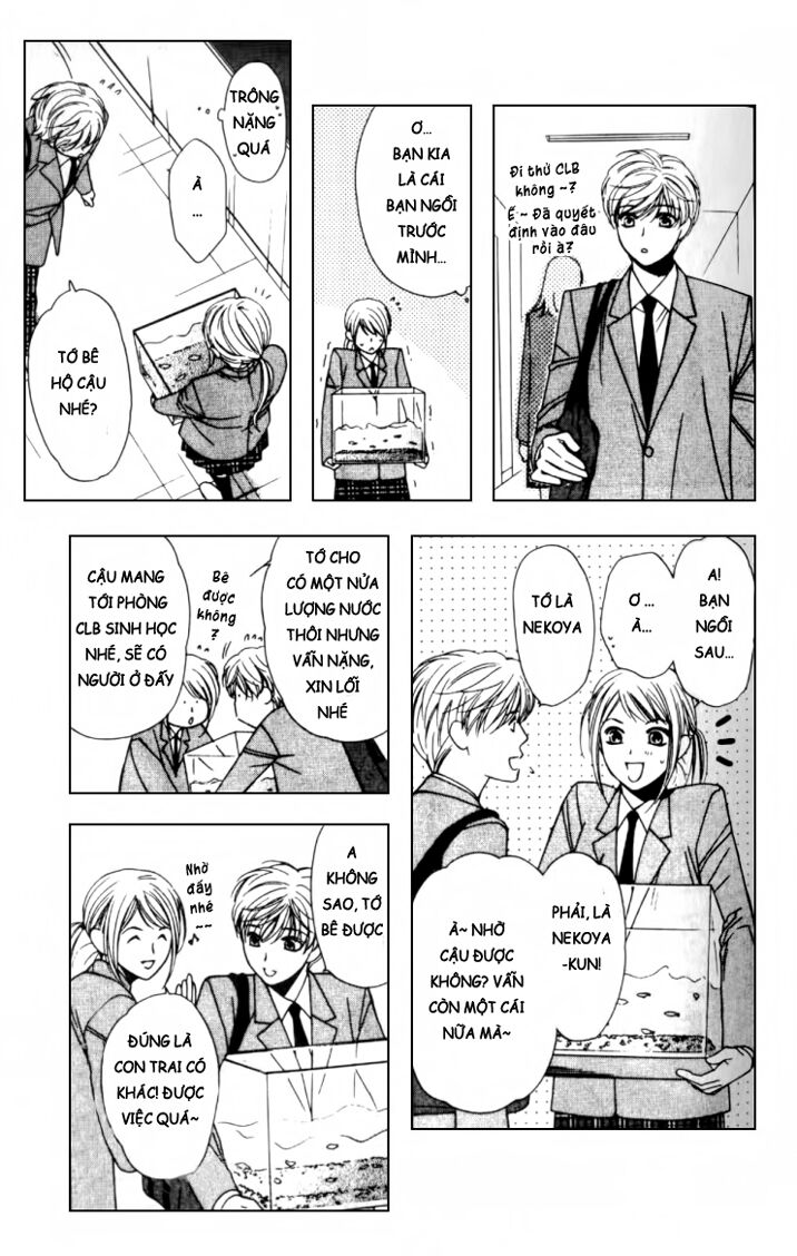 Neko Neko Honey: Chapter 2