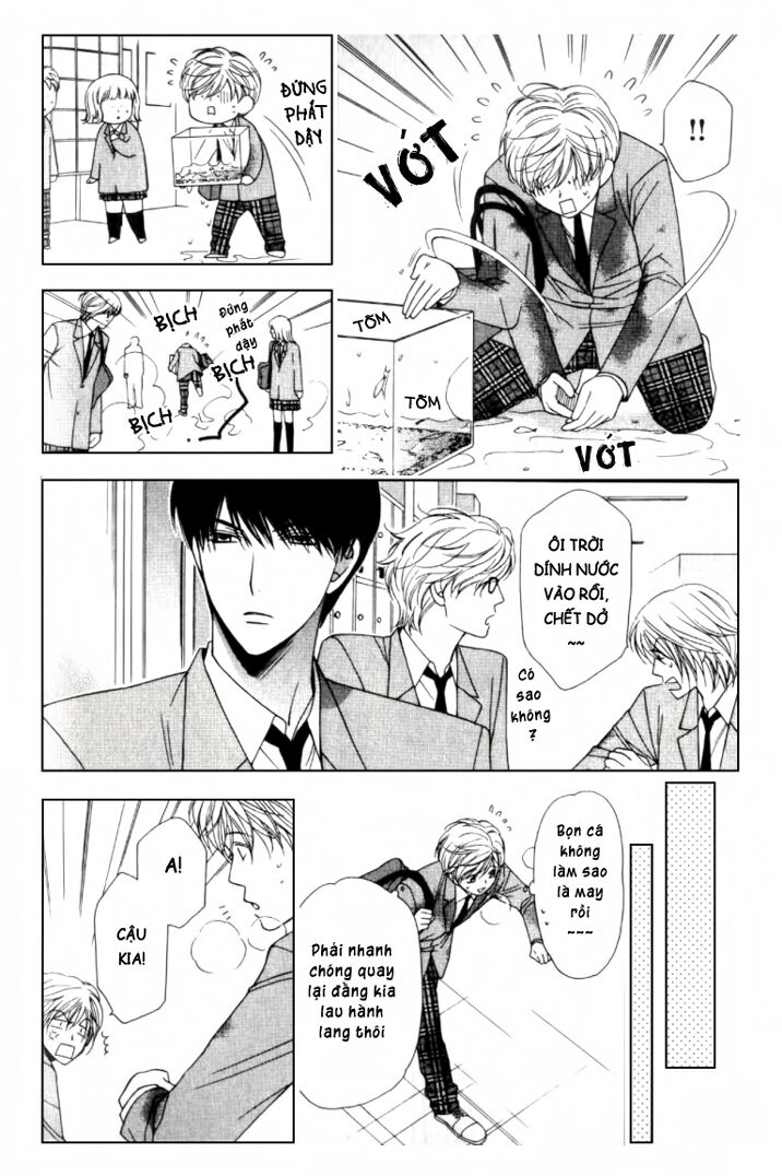 Neko Neko Honey: Chapter 2